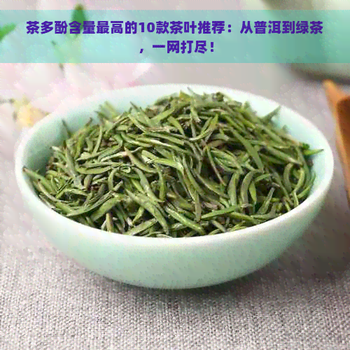 茶多酚含量更高的10款茶叶推荐：从普洱到绿茶，一网打尽！