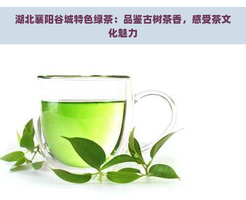 湖北襄阳谷城特色绿茶：品鉴古树茶香，感受茶文化魅力