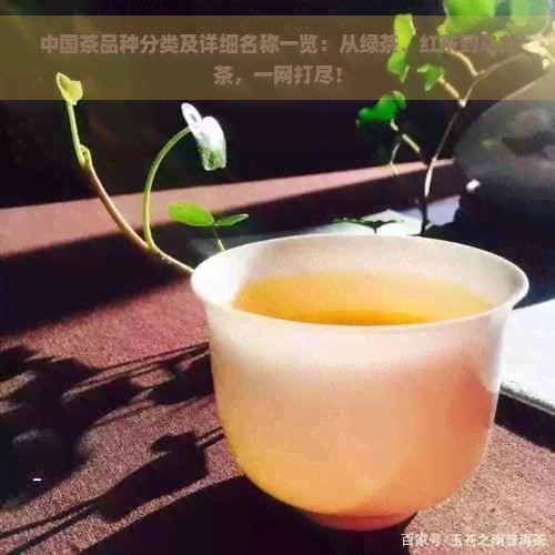 中国茶品种分类及详细名称一览：从绿茶、红茶到乌龙茶，一网打尽！