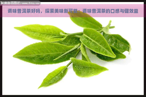 调味普洱茶好吗，探索美味新可能：调味普洱茶的口感与健效益