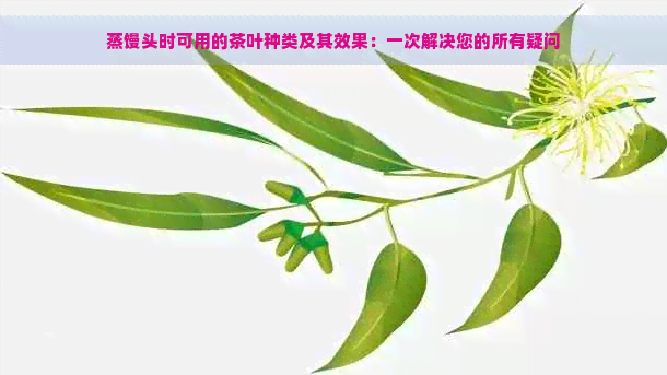 蒸馒头时可用的茶叶种类及其效果：一次解决您的所有疑问