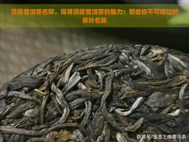 顶级普洱茶名称，探寻顶级普洱茶的魅力：那些你不可错过的茶叶名称