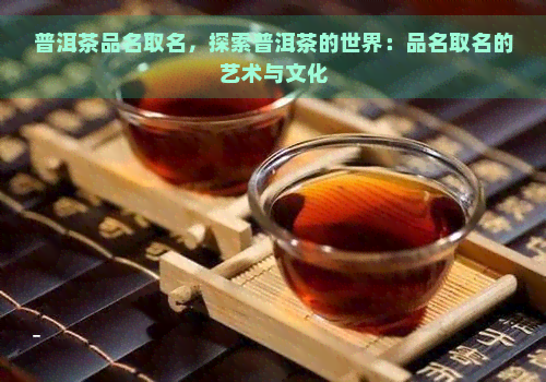 普洱茶品名取名，探索普洱茶的世界：品名取名的艺术与文化