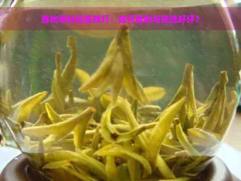 春秋茶的品鉴技巧：如何鉴别与挑选好坏？