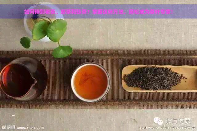 如何辨别老茶、新茶和陈茶？掌握这些方法，轻松成为茶叶专家！