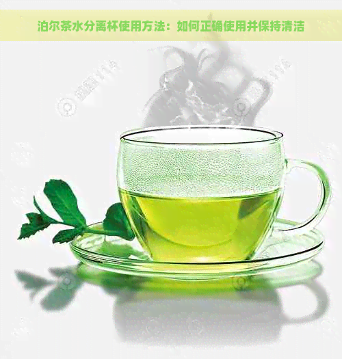 泊尔茶水分离杯使用方法：如何正确使用并保持清洁