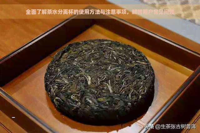 全面了解茶水分离杯的使用方法与注意事项，解答用户常见问题