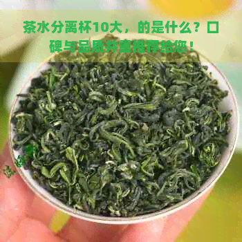 茶水分离杯10大，的是什么？口碑与品质并重推荐给您！