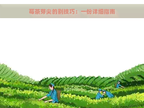 莓茶芽尖的别技巧：一份详细指南