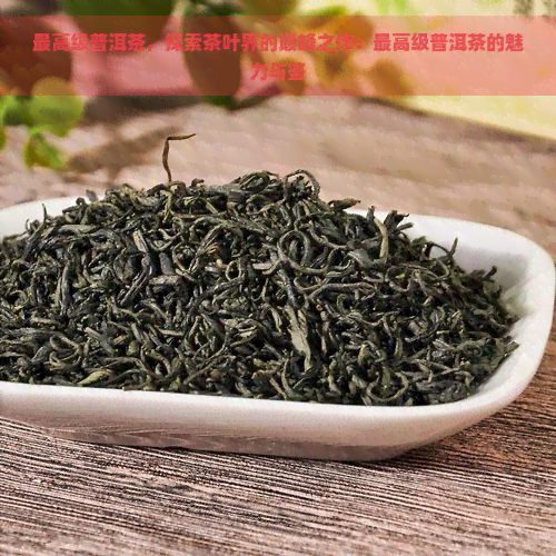 更高级普洱茶，探索茶叶界的巅峰之作：更高级普洱茶的魅力与鉴