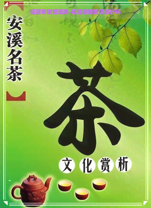 福建茶做普洱茶-福建茶做普洱茶好吗