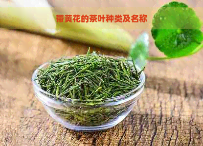 带黄花的茶叶种类及名称