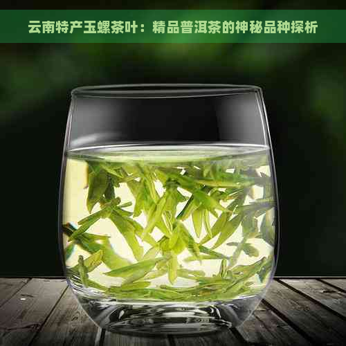 云南特产玉螺茶叶：精品普洱茶的神秘品种探析