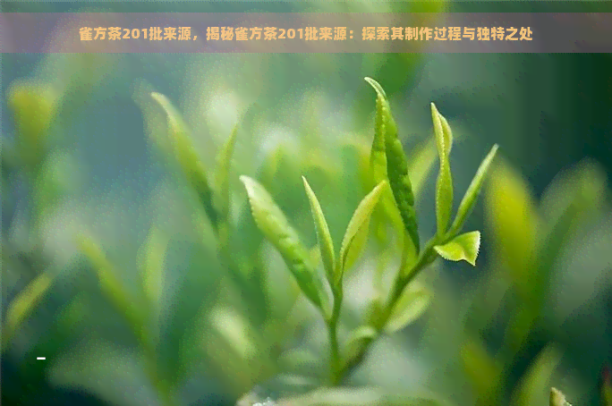 雀方茶201批来源，揭秘雀方茶201批来源：探索其制作过程与独特之处