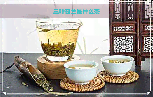 三叶奇兰是什么茶