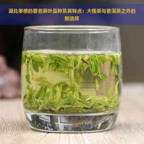 湖北孝感的著名茶叶品种及其特点：大悟茶与普洱茶之外的新选择