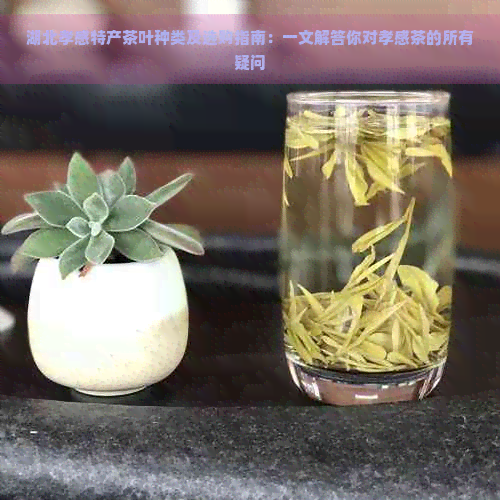 湖北孝感特产茶叶种类及选购指南：一文解答你对孝感茶的所有疑问