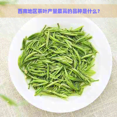 西南地区茶叶产量更高的品种是什么？