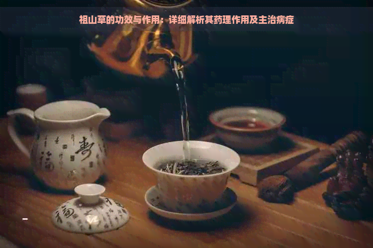 祖山草的功效与作用：详细解析其药理作用及主治病症