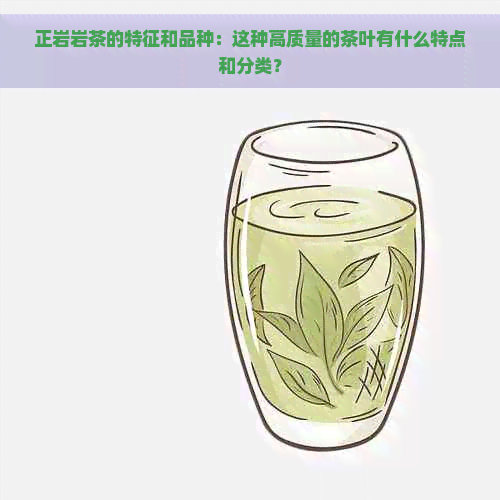 正岩岩茶的特征和品种：这种高质量的茶叶有什么特点和分类？