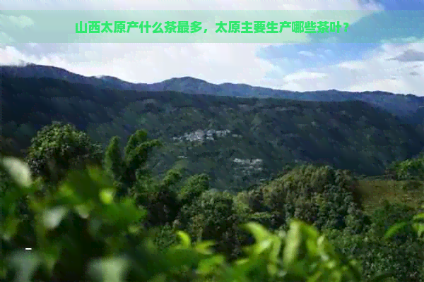 山西太原产什么茶最多，太原主要生产哪些茶叶？