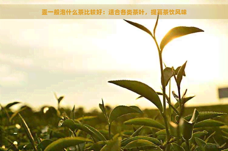 壶一般泡什么茶比较好：适合各类茶叶，提高茶饮风味