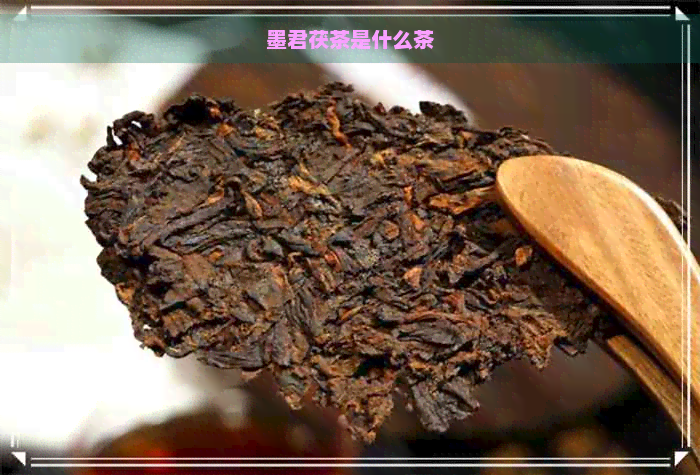 墨君茯茶是什么茶