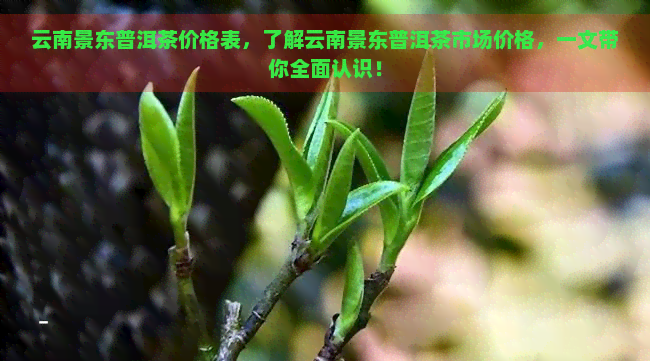 云南景东普洱茶价格表，了解云南景东普洱茶市场价格，一文带你全面认识！