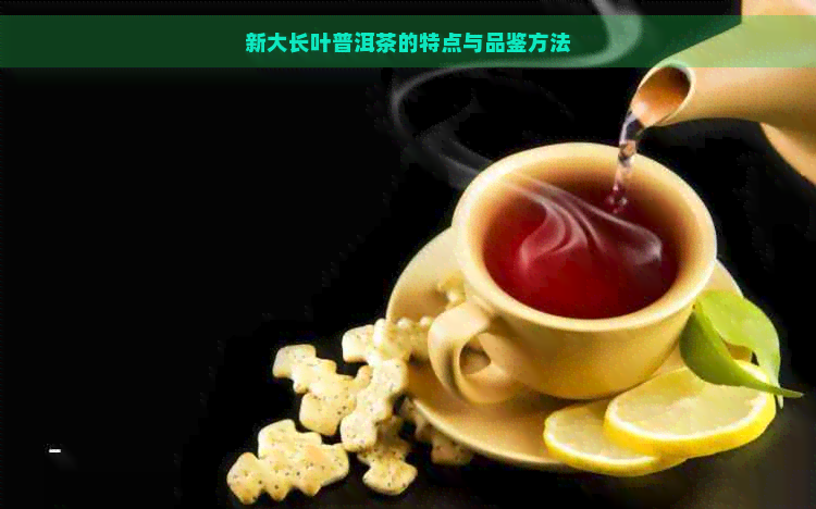 新大长叶普洱茶的特点与品鉴方法