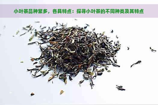 小叶茶品种繁多，各具特点：探寻小叶茶的不同种类及其特点