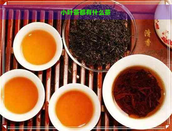 小叶茶都有什么茶