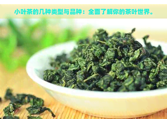 小叶茶的几种类型与品种：全面了解你的茶叶世界。