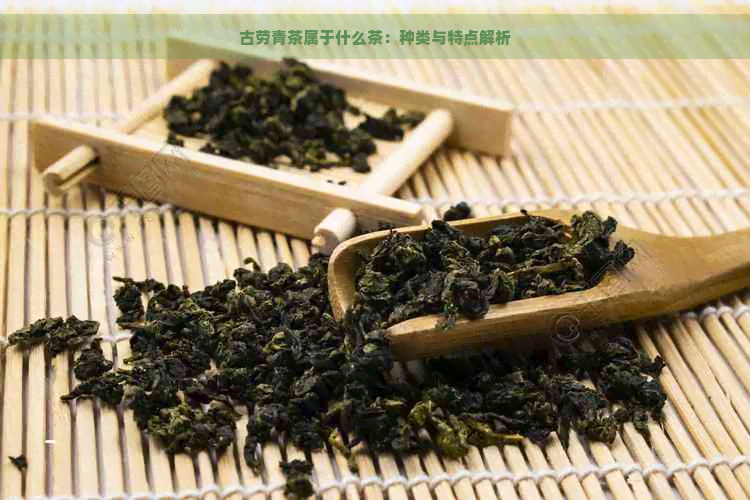 古劳青茶属于什么茶：种类与特点解析