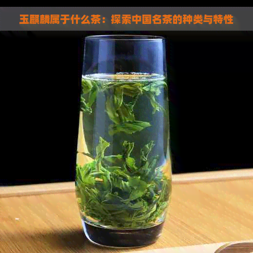 玉麒麟属于什么茶：探索中国名茶的种类与特性