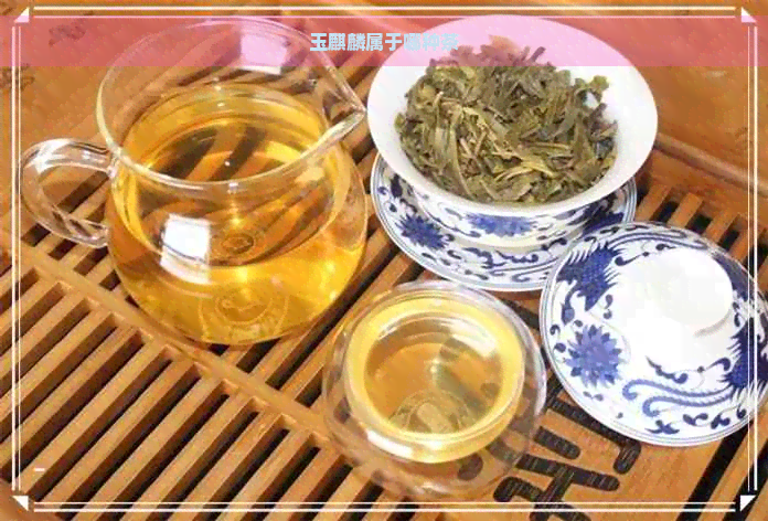 玉麒麟属于哪种茶