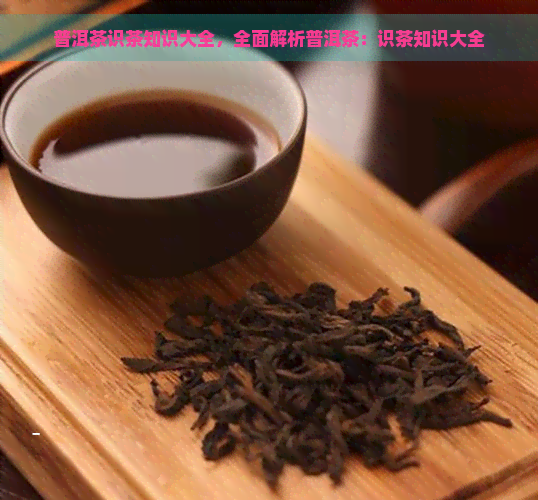 普洱茶识茶知识大全，全面解析普洱茶：识茶知识大全