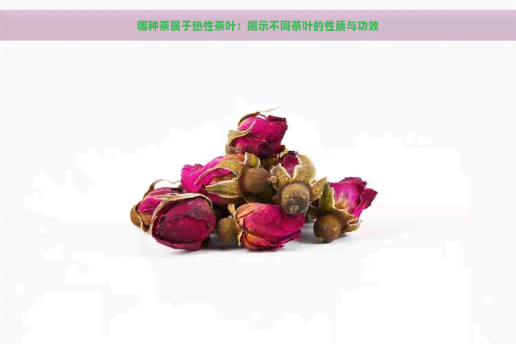 哪种茶属于热性茶叶：揭示不同茶叶的性质与功效