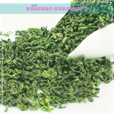 普洱茶识茶知识-普洱茶识茶知识大全