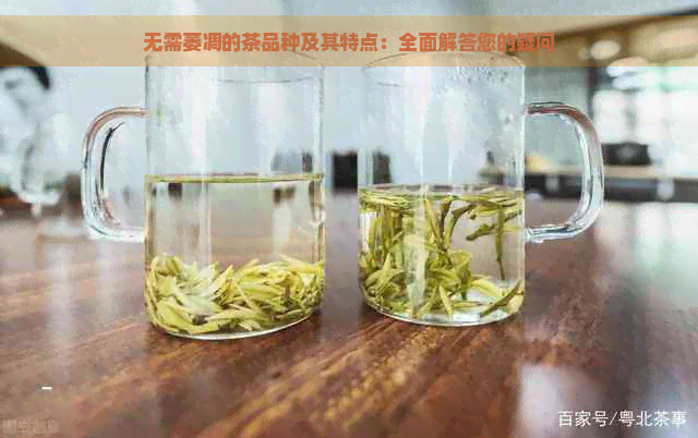 无需萎凋的茶品种及其特点：全面解答您的疑问