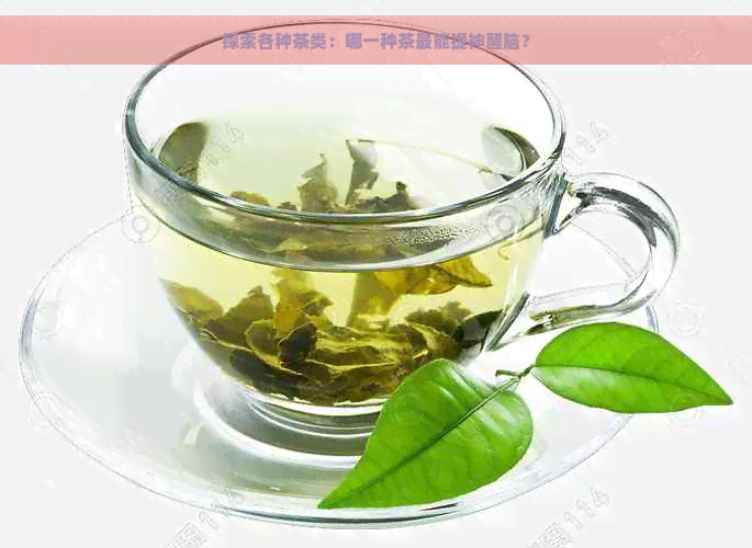 探索各种茶类：哪一种茶最能提神醒脑？