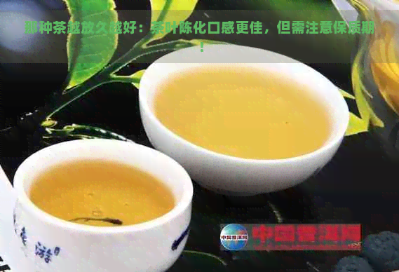 那种茶越放久越好：茶叶陈化口感更佳，但需注意保质期！