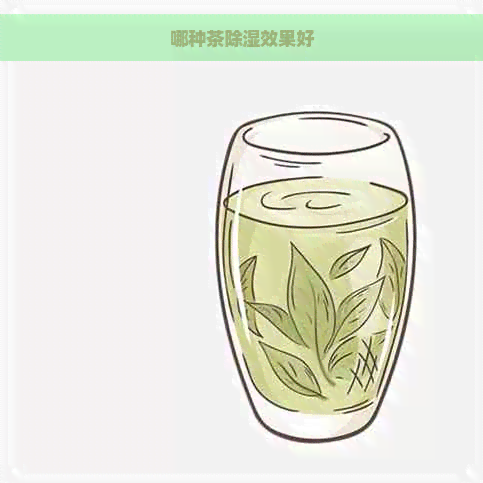 哪种茶除湿效果好