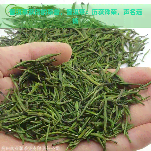 普洱茶获得的荣誉，普洱茶：历获殊荣，声名远扬