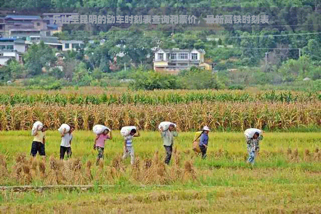 乐山至昆明的动车时刻表查询和票价，最新高铁时刻表