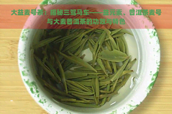 大益麦号茶：揭秘三驾马车——益元素、普洱茶麦号与大麦普洱茶的功效与特色