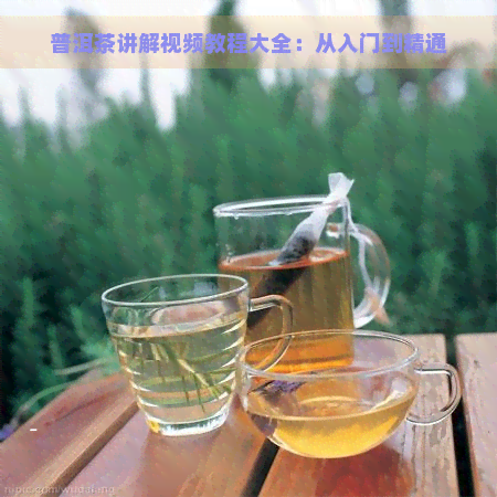 普洱茶讲解视频教程大全：从入门到精通