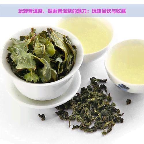 玩转普洱茶，探索普洱茶的魅力：玩转品饮与收藏