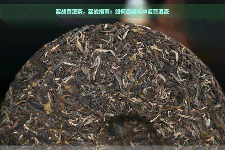 实战普洱茶，实战指南：如何品鉴与冲泡普洱茶