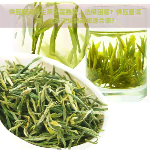 供应普洱茶生茶还是熟茶，选择困惑？供应普洱茶，生茶还是熟茶更适合您？