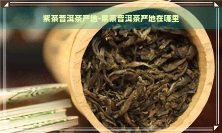 紫茶普洱茶产地-紫茶普洱茶产地在哪里